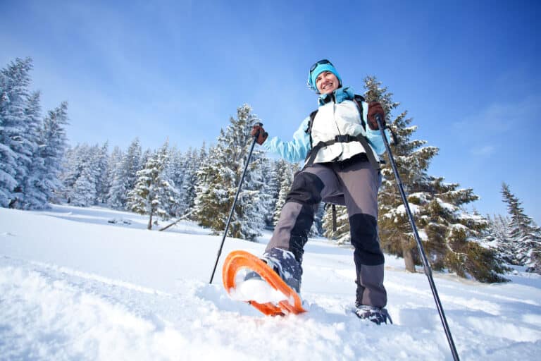 Quels bâtons pour la raquette à neige ? Guide et top 5.