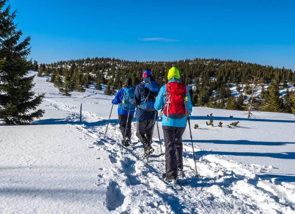 groupe de randonneurs sur un sentier enneigé en plein air