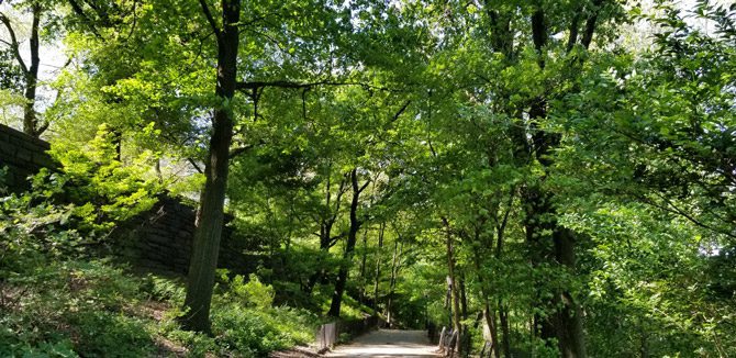 missing my daily morning walk in Riverside Park. Upper West Side, NYC. circa 2019