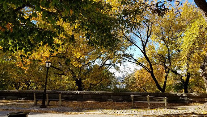 Park in autumn