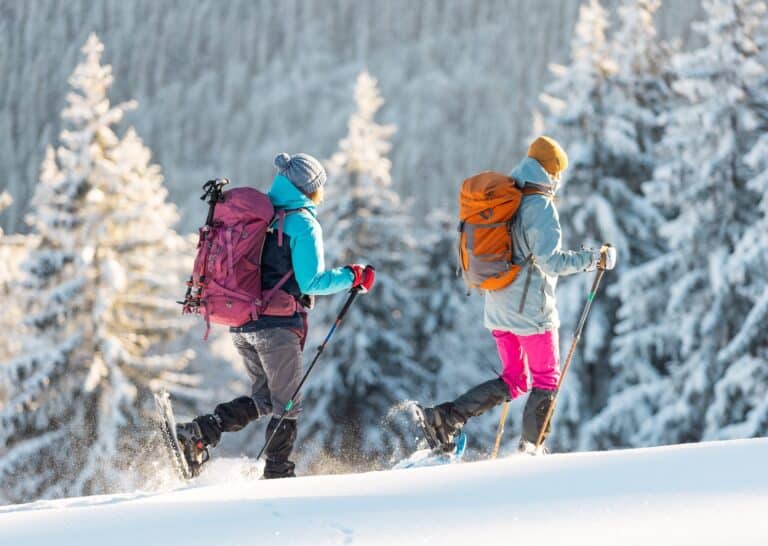 Raquette ou ski de fond : quelle activité choisir ? (2022)