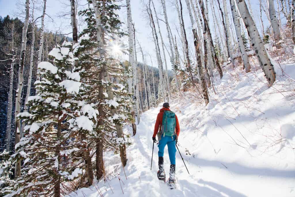 Pratique de la raquette en forêt montagne