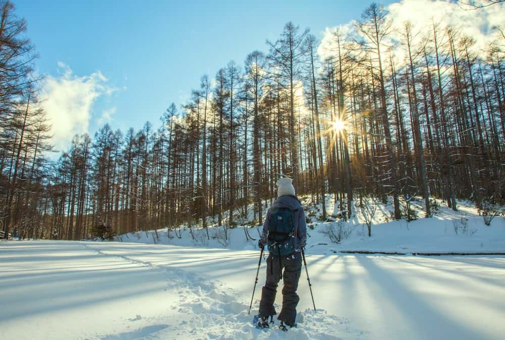 Raquette neige en forêt