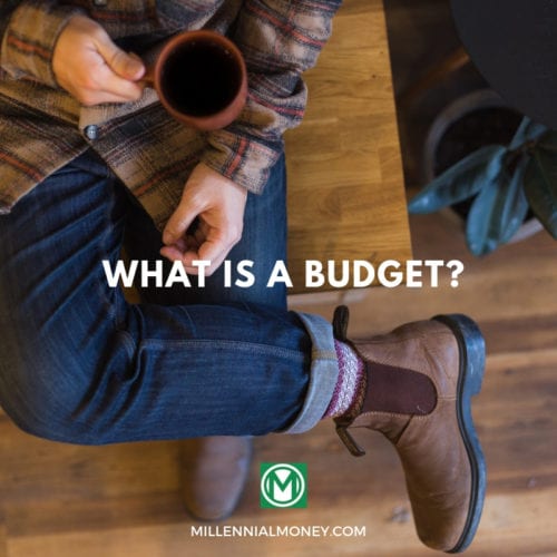 what is the purpose of a budget